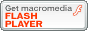 MacromediaHP Flash Player_E[hy[W