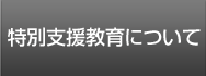 特別支援教育について